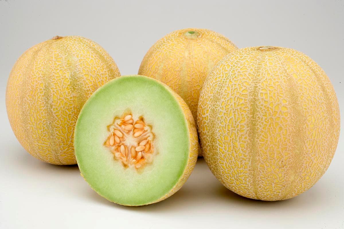 El Melón, una fruta jugosa