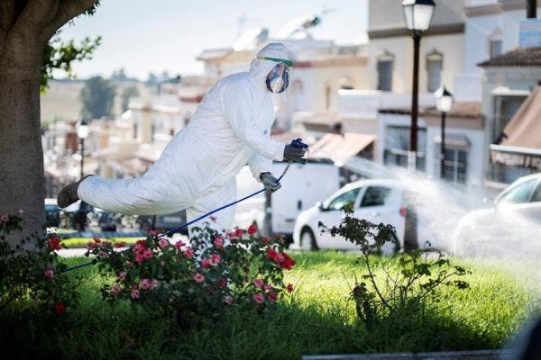 Virus del Nilo: dos víctimas mortales y una treintena de contagios en Sevilla