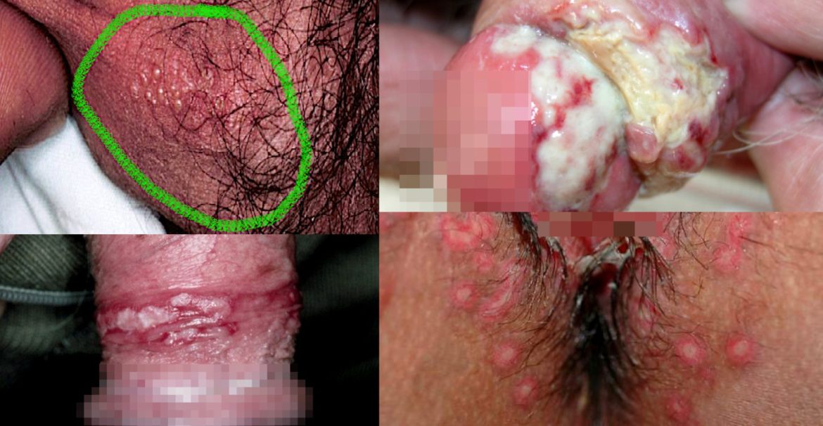 La doctora Carmen González Enguita busca respuestas en su ordenador portátil apple