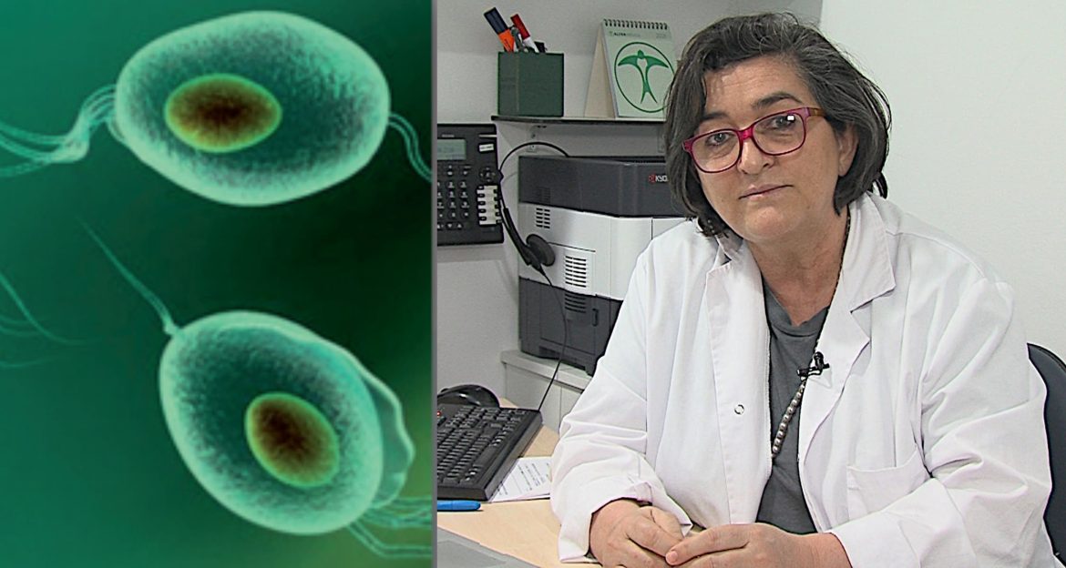 Imagen del protozoo Trichomonas vaginalis-Ministerio de Sanidad España.