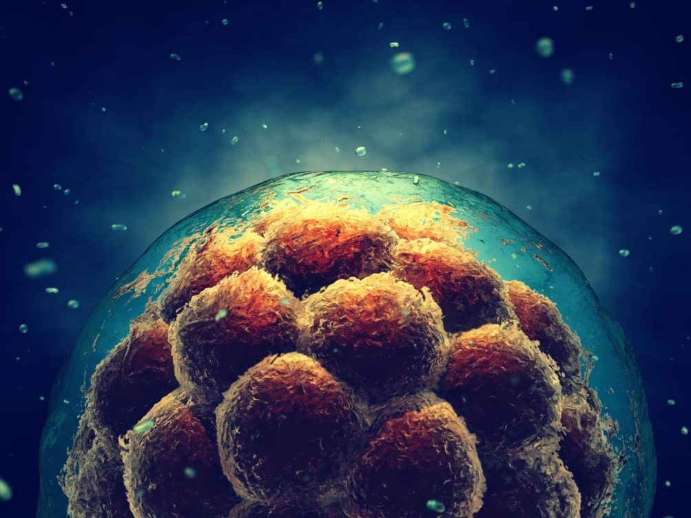 metabolitos fertilidad