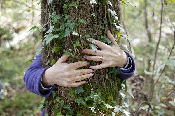 Una pacientes abraza a un árbol en un bosque cerca de Olot (Gerona) como parte de una terapia contra la fibromialgia . EFE/Robin Townsend