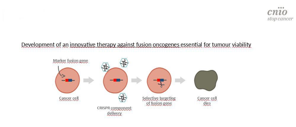CRISPR contra el cáncer: Los tumores candidatos