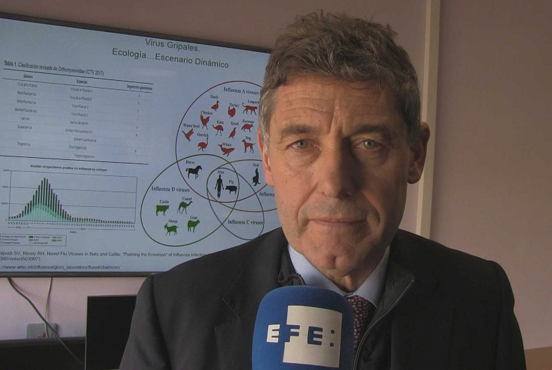 Doctor José María Eiros Bouza, catedrático de Microbiología en la Universidad de Valladolid, que trabaja, además, en el Centro Nacional de Gripe de Valladolid (España)