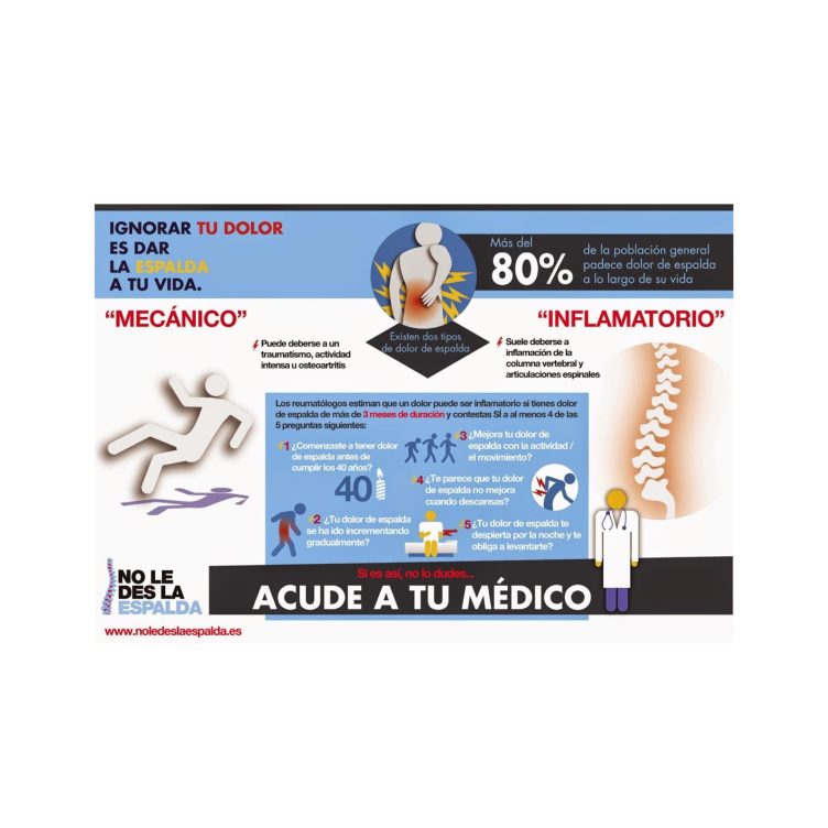 Espondilitis anquilosante, espondiloartritis, columna, dolor, síntomas, infografía, inflamación, huesos
