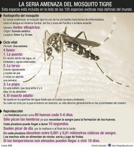 Picaduras de mosquito