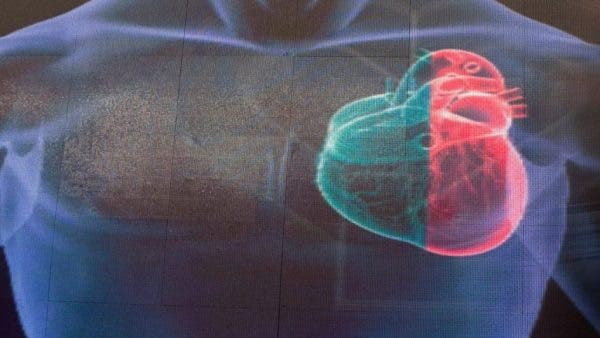 Embriones humanos: reparan mutación en gen que causa miocardiopatía hipertrófica