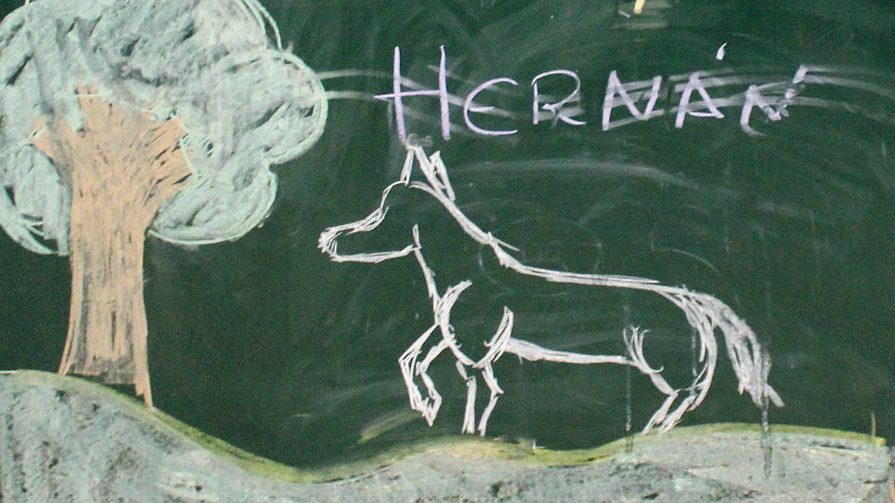 Dibujos de los niños de San Rafael