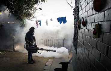 Un empleado del Ministerio de Salud fumiga el patio de una casa en la ciudad de Soyapango, 6 kilómetros al este de San Salvador. EFE/Oscar Rivera