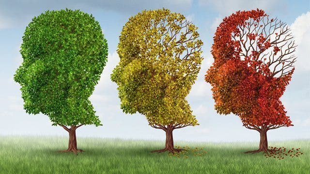 Tres árboles que semejan tres cabezas donde se pierde parte del cerebro progresivamente en alusión al alzhéimer. Efesalud.com