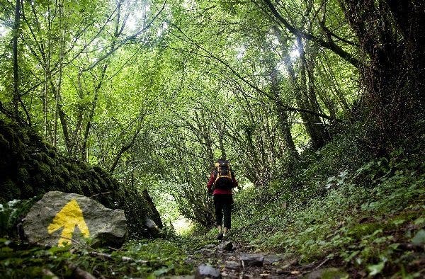 propósitos para el 2020