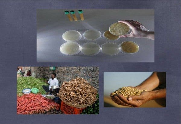Quinoa, kéfir, semillas de lino…Alimentos de moda