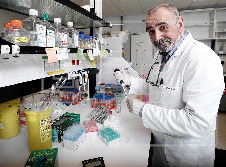 López-Goñi: El coronavirus ni se está debilitando ni se está volviendo más virulento
