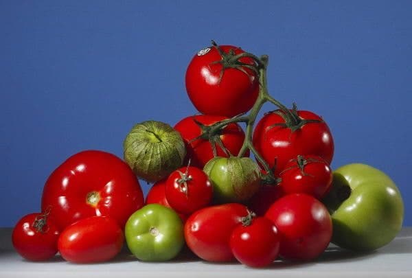 La piel del tomate