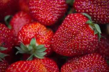 hepatitis A fresas