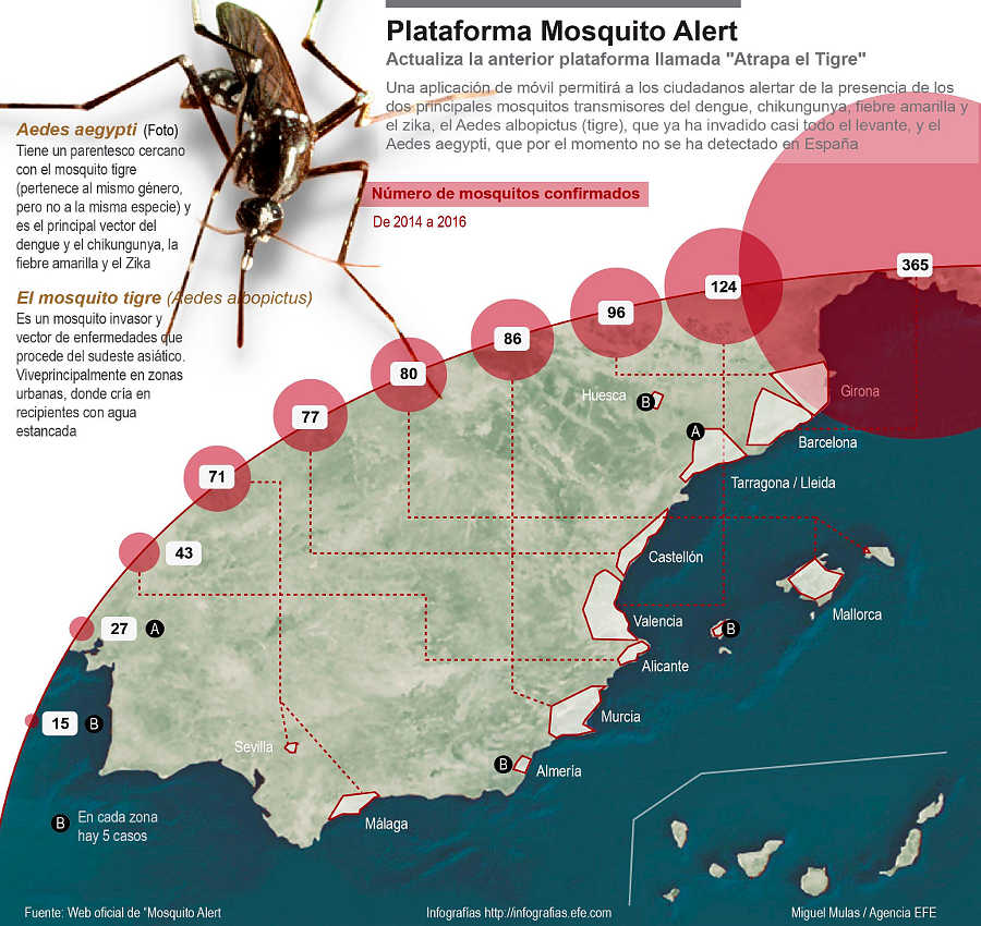 Infografía mosquito tigre en España en el periodo 2014-2016.