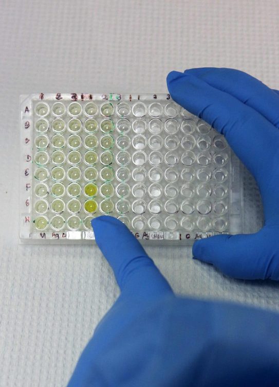 Investigación rentable