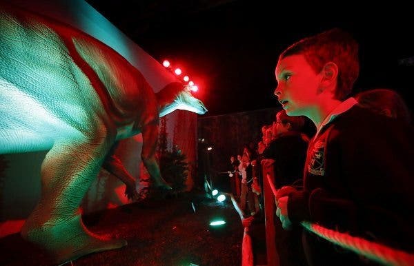 Un niño observa un dinosaurio durante una visita a la exposición "Días de Dinosaurios" en Ciudad del Cabo (Sudáfrica). Efesalud.com