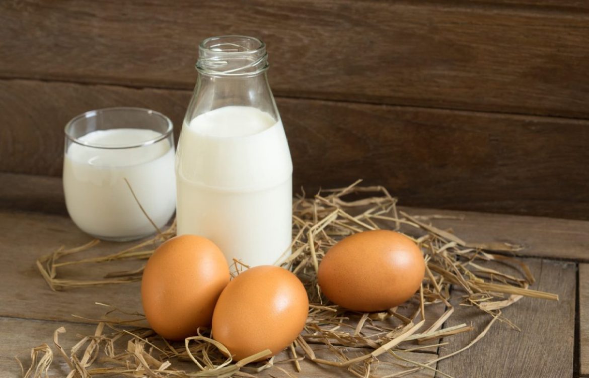 Alergia al huevo y a la leche: Qué hacer y qué no hacer