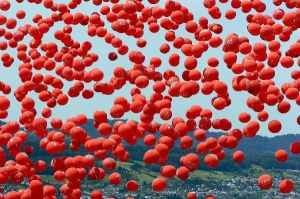 salud vascular Alianza