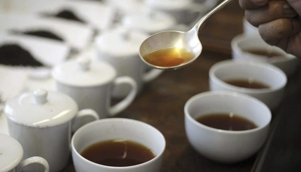 El Abecedario de la Nutrición: los distintos tipos de tés y sus propiedades