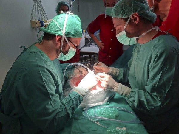 España realiza por primera vez una cadena de seis trasplantes renales de vivo