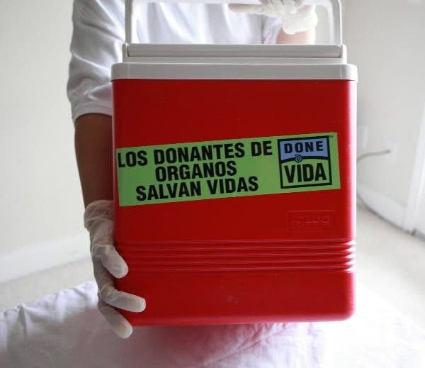 España duplica la media europea en donación de órganos