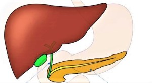 cáncer colon metástasis hígado