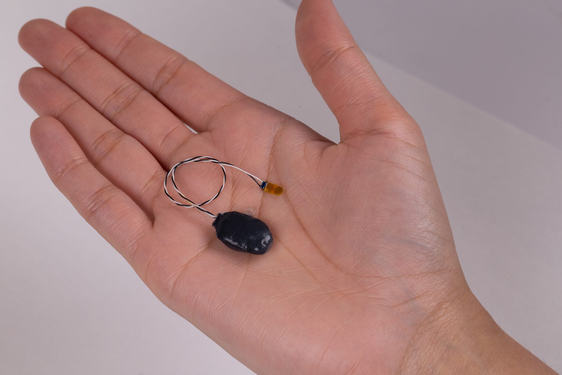 Primer detector inalámbrico del rechazo de trasplantes