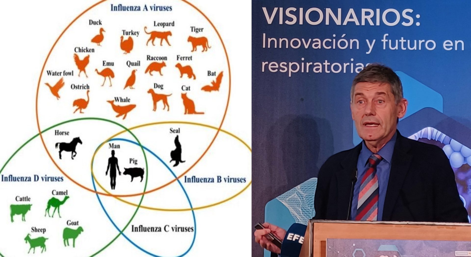 Vacunación de la gripe 2023 en pacientes respiratorios