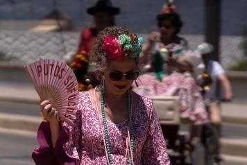 Menopausia cardiovascular