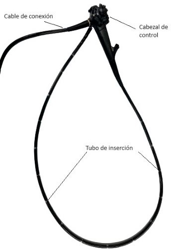 Endoscopio, con el mando operativo y el tubo de inserción.