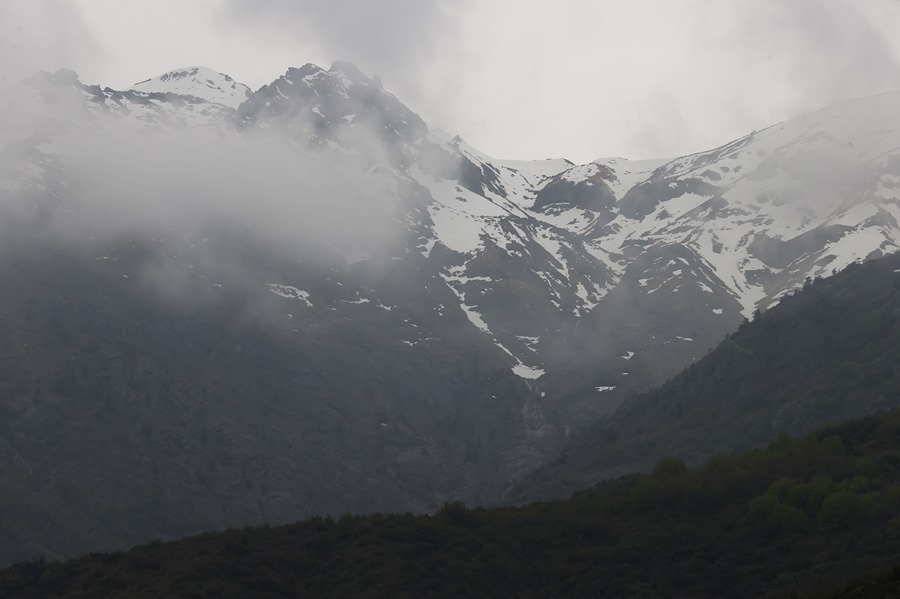 instinto de superviviencia