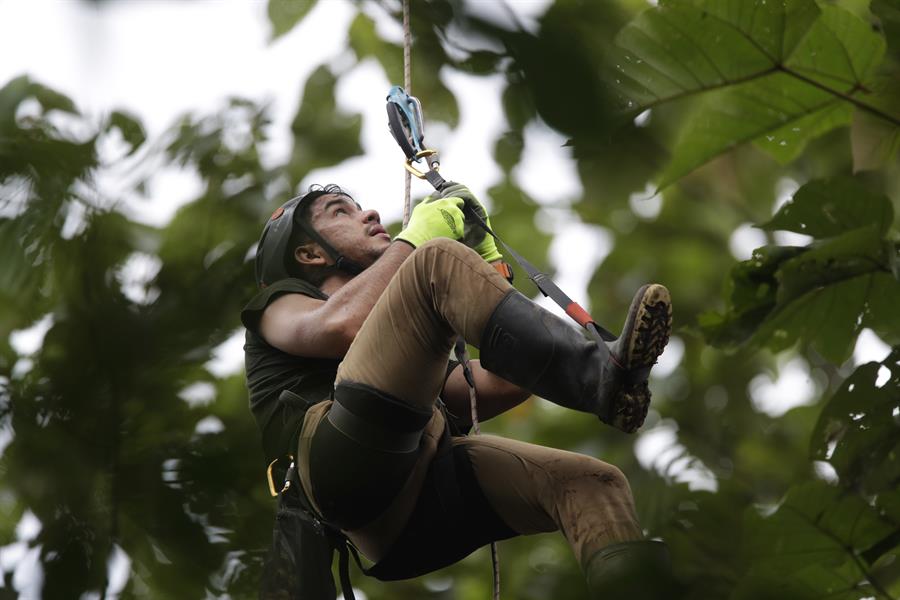 Urgencias profesionales 