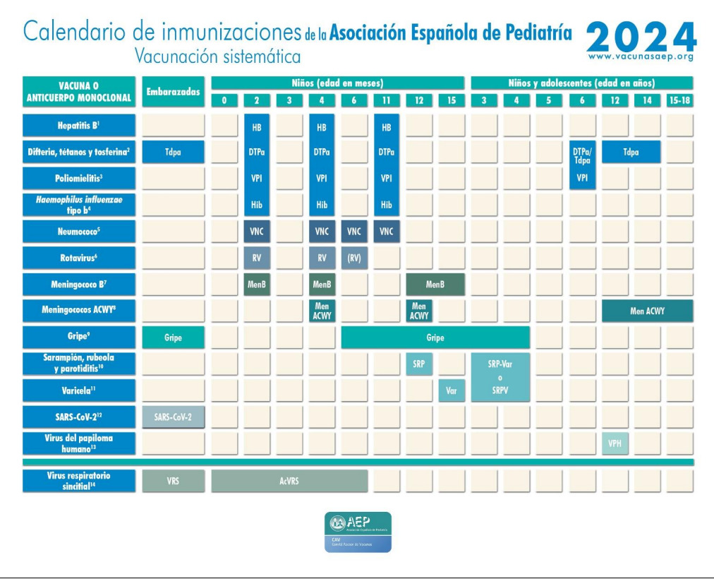 Calndario vacunal 2024