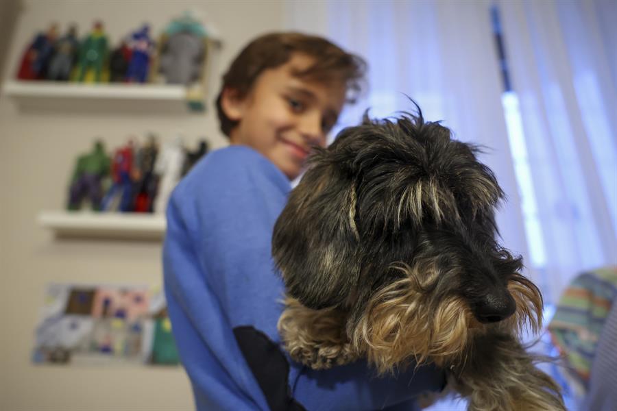 niños inmunodeprimidos mascotas