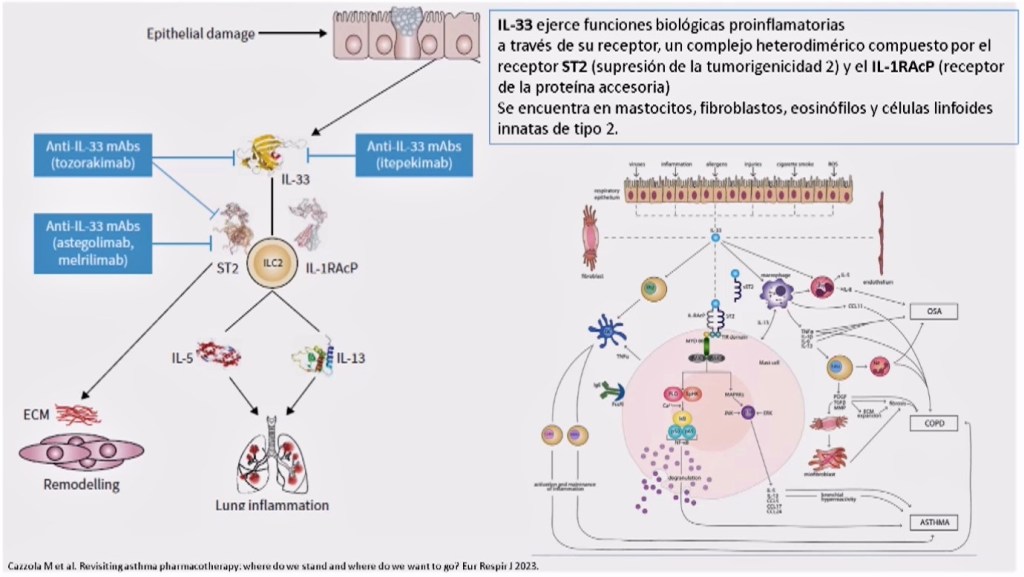 Tratamientos biológicos en investigación en asma.