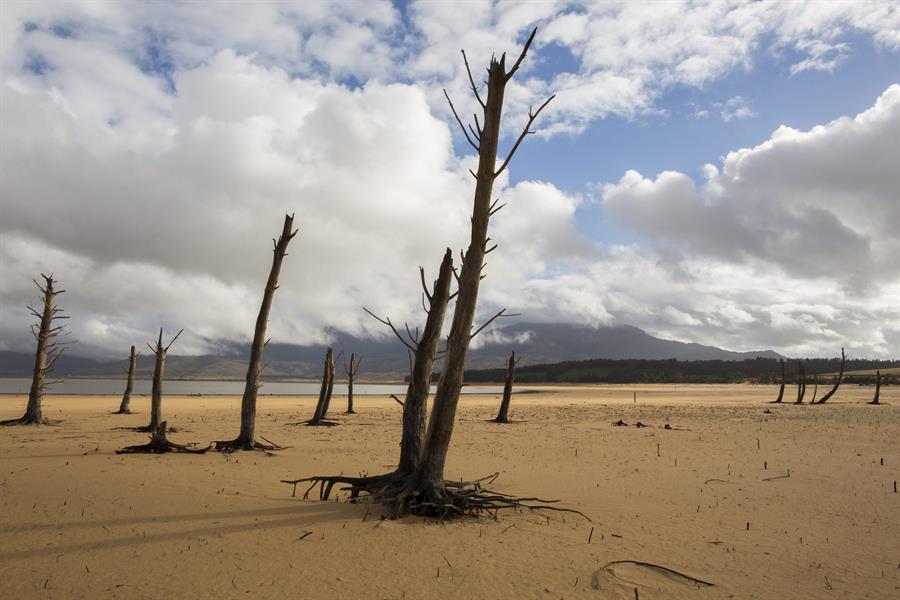 Desertificación salud