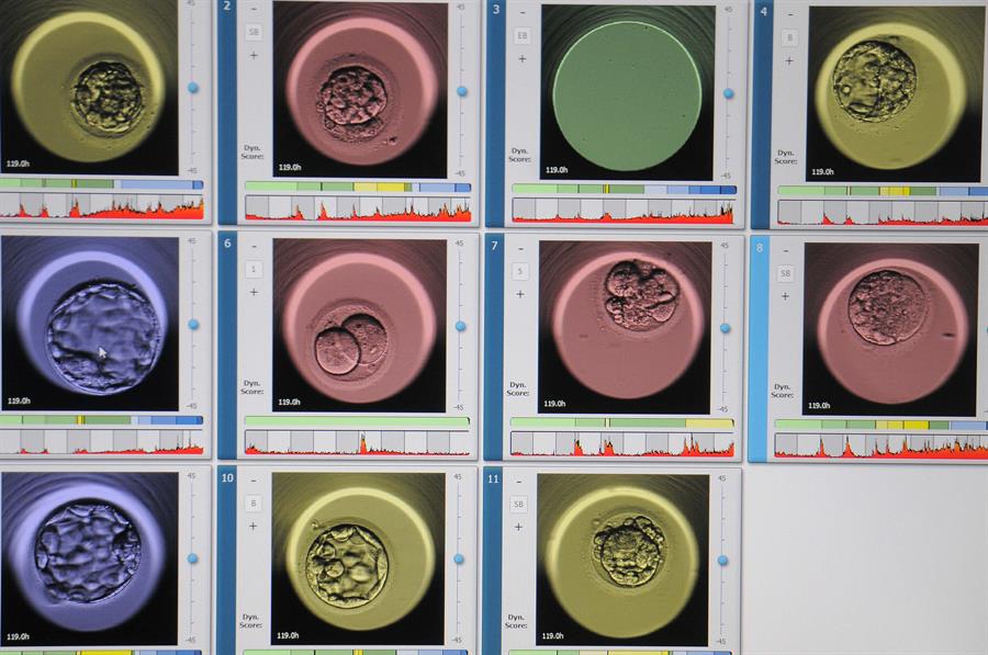 Fecundación in vitro 