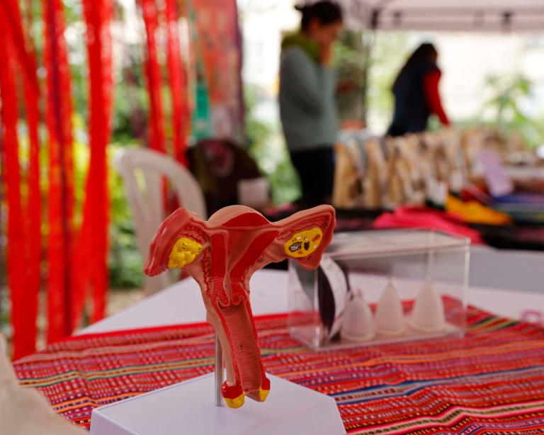 cáncer de endometrio