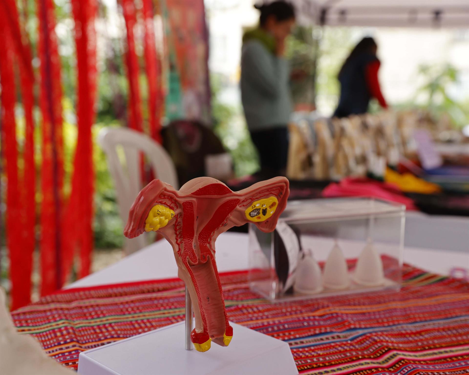 cáncer de endometrio