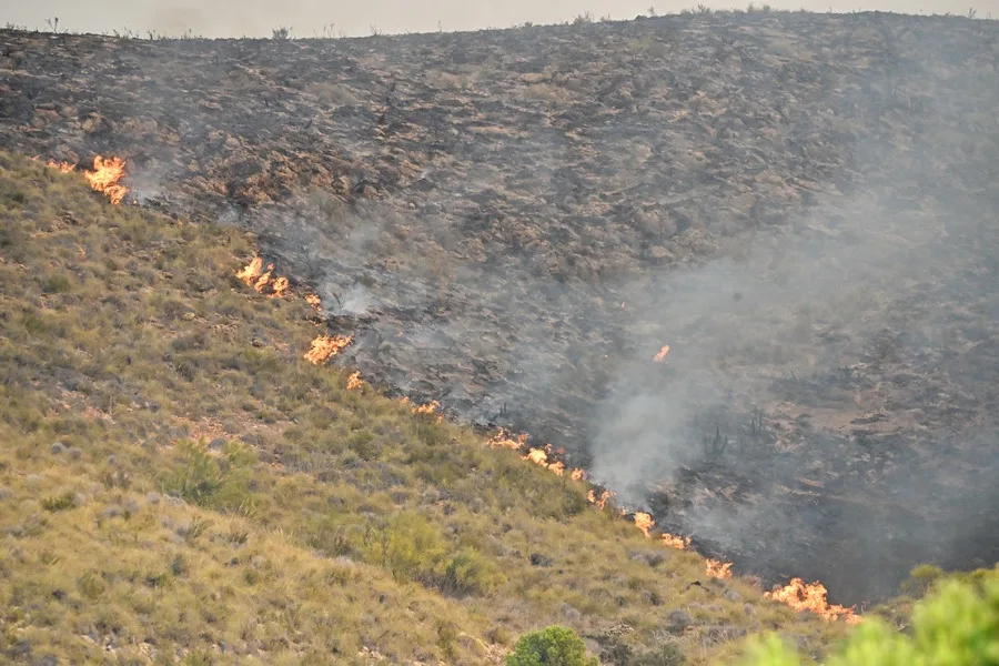 pautas de actuación ante un incendio