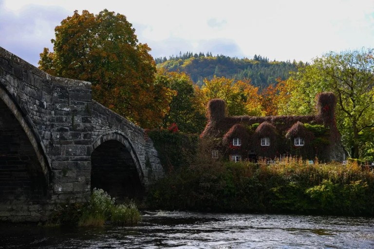 la casa de los hábitos saludables y nutrición