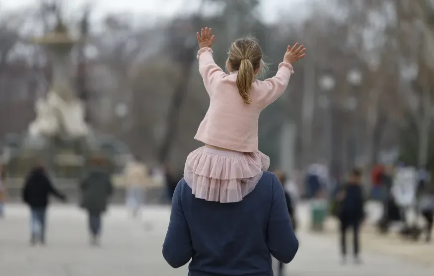cerebro sistemas educativos