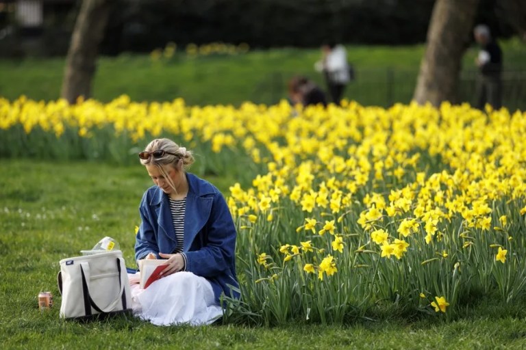 déficit vitamina D primavera