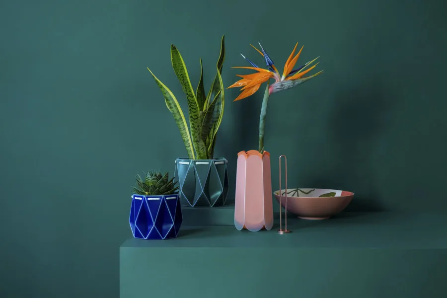 dormir plantas