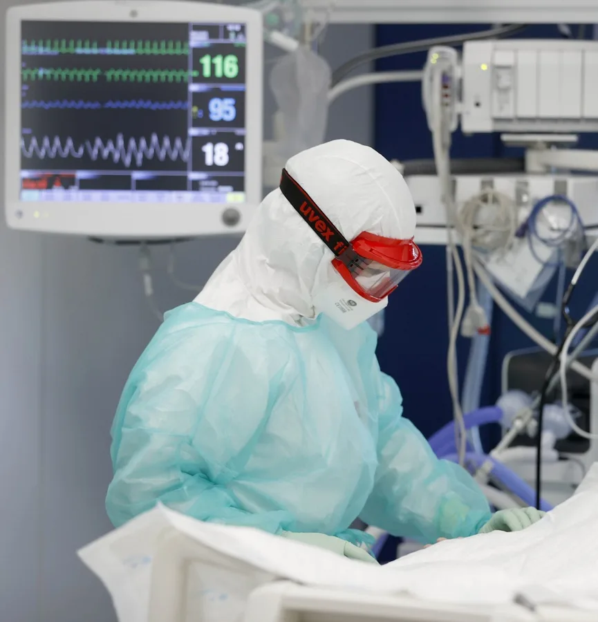 hantavirus transmisión