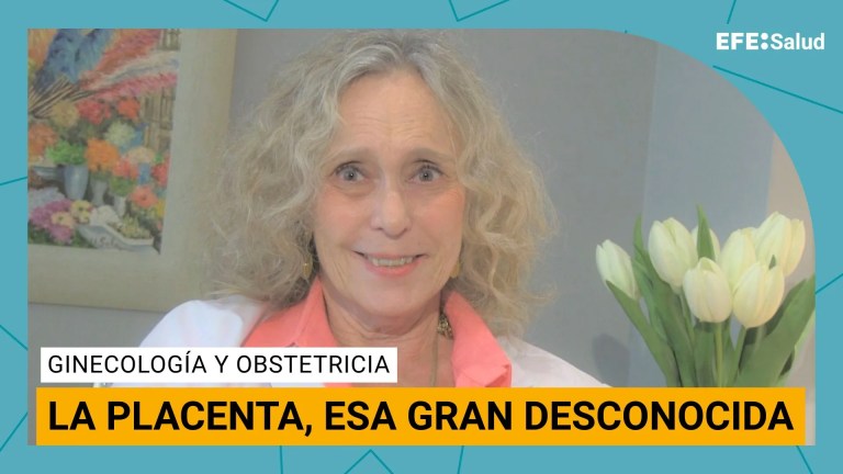 Placenta.