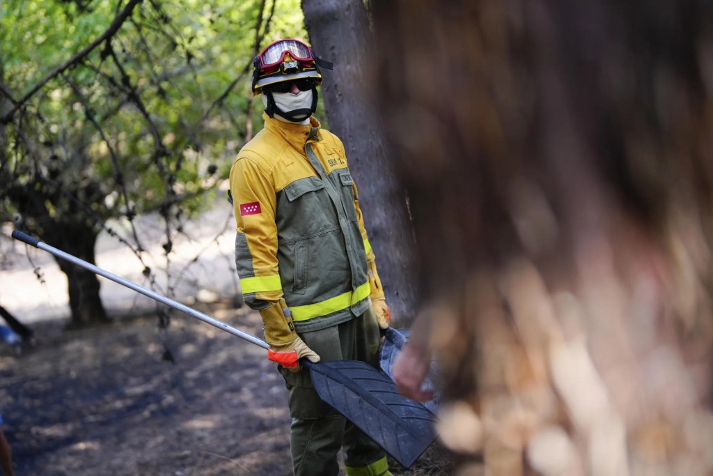 Incendios forestales recomendaciones