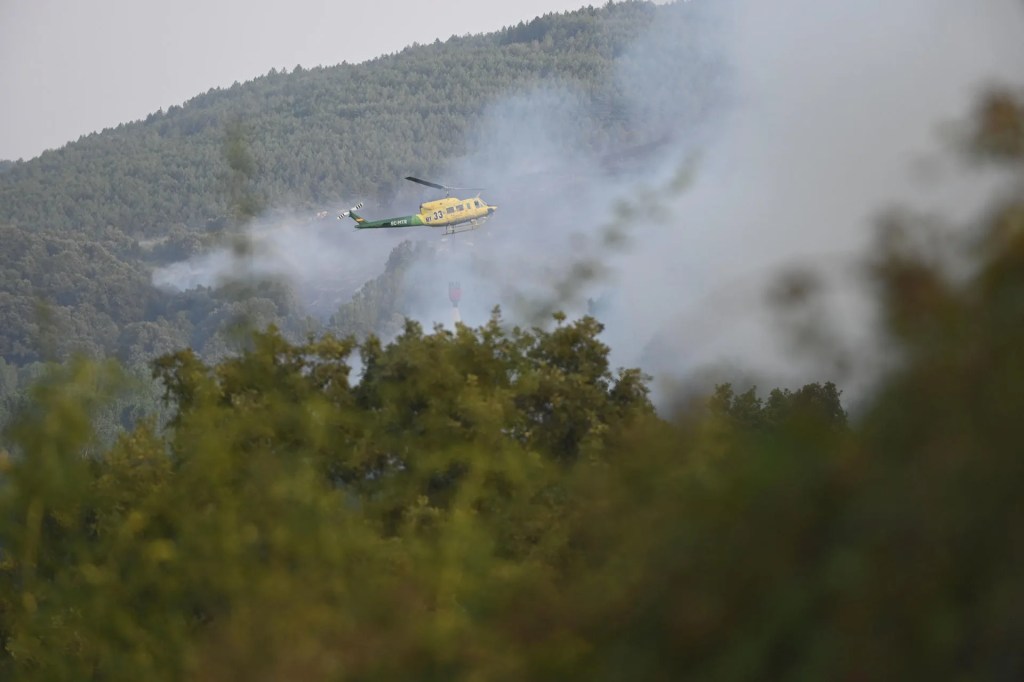 Incendios forestales recomendaciones